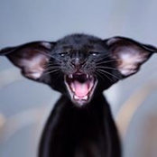 Анна Чернуха's photo