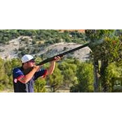 David Radulovich's photo