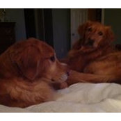 Terry Goduto's photo