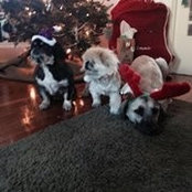 Linda Derk's photo