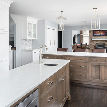Transitional Kitchen and First Floor Leesburg Remodel - Naperville