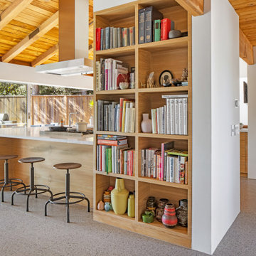 San Ysidro Mid Century Modern