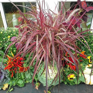 Container Gardens