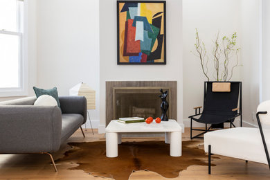 Living room - modern living room idea in San Francisco