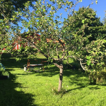 Fruktträdgården
