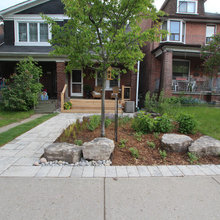 Front yard
