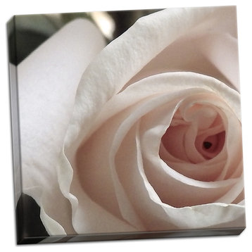Fine Art Photograph, White Rose I, Hand-Stretched Canvas