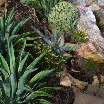 Escondido Backyard Retreat