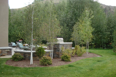 Inspiration for a mid-sized timeless backyard brick patio kitchen remodel in Boise with no cover