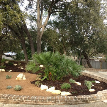 cactus & Succulent Gardens