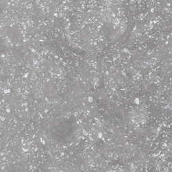 Coralstone Grey - Wall & Floor Tiles