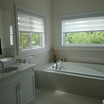Zebra Blinds