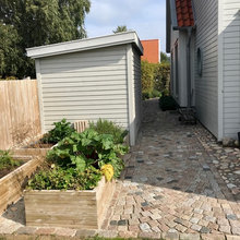 Trädgård