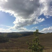 Sara Grisolaghi's photo