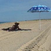 Antoine Von Rorik's photo