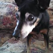 Toby Bassett's photo
