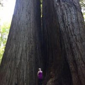 Becca Petrany's photo