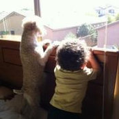 Maha Basha's photo