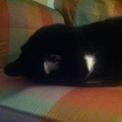 Foto de Britt Bugby