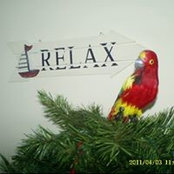 Jeri Zoerhof's photo