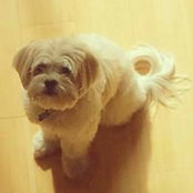 Meisy Tong's photo