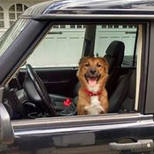 Brian Reeder's photo