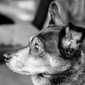 Katy Stonitsch's photo