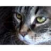 Laura Winkel's photo