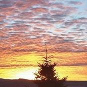 Sheridan Johnston's photo