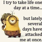 Patty D Davis's photo
