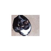 Sandy Duff's photo