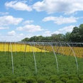 Wilson Nurseries & Landscape Supply's profile photo
