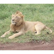 Foto de Leodoric Jonathan
