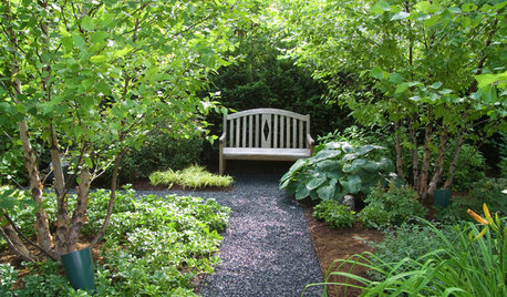 Wie lässt sich ein schöner Schattengarten gestalten?