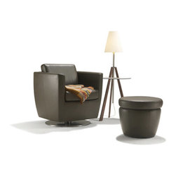Arm chairs - Armchairs And Accent Chairs