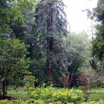 Restauro del Parco Chigi di Ariccia