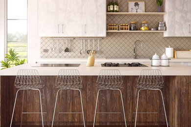 Example of a kitchen design in Houston