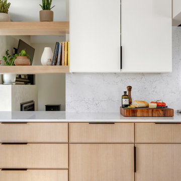 Northeast Minneapolis Project