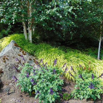 The Shay Garden