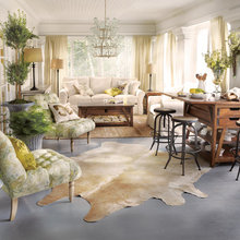 tracy_evans3052's ideas