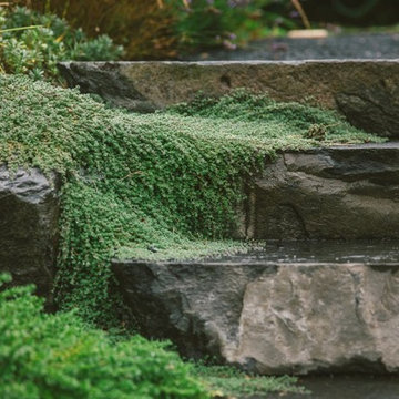 Audubon Certified Backyard Habitat