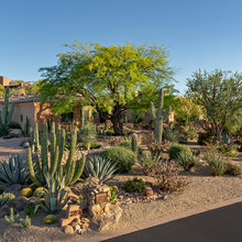 DESSERT GARDEN