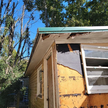 Termite Damage Is at it Again