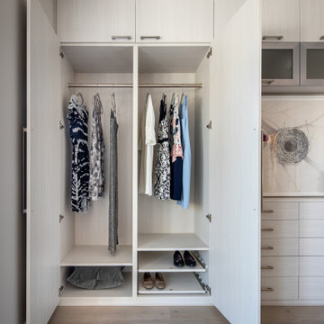 Elegant Space-Saving External Wardrobe with Media Alcove