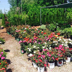 Gallery - Gardening And Lawn Care
