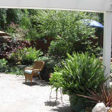 Miller garden - Walnut Creek