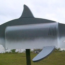 rachel_thomas_sharks