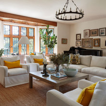 Living Room Ideas