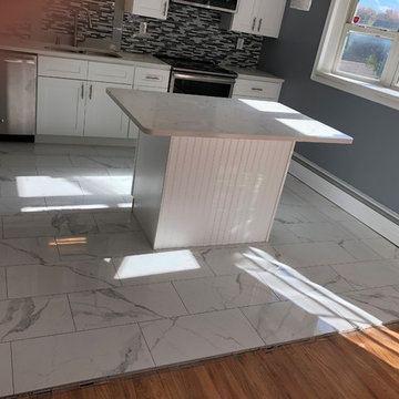 Noristown contemporary kitchen