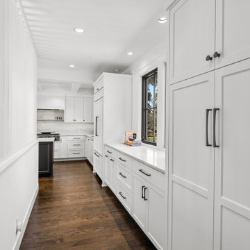 Main Level Remodel Edina